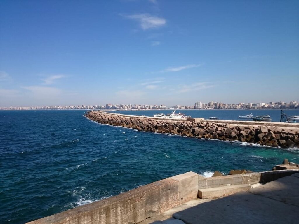 Indulge Your Taste Buds with Our Top Foodie Destinations alexandria 1 min