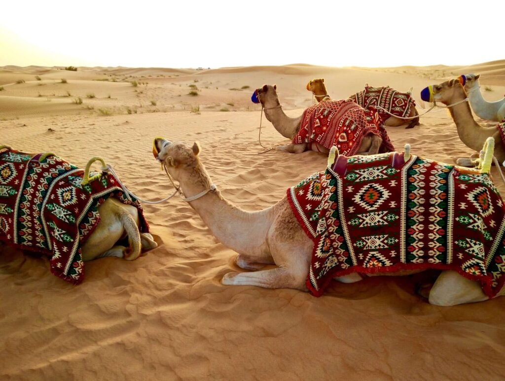 Sustainable Travel: Tips and Destinations for Eco-Friendly Explorations dubai 3 min